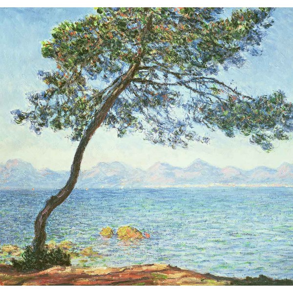 Дерево на побережье 
