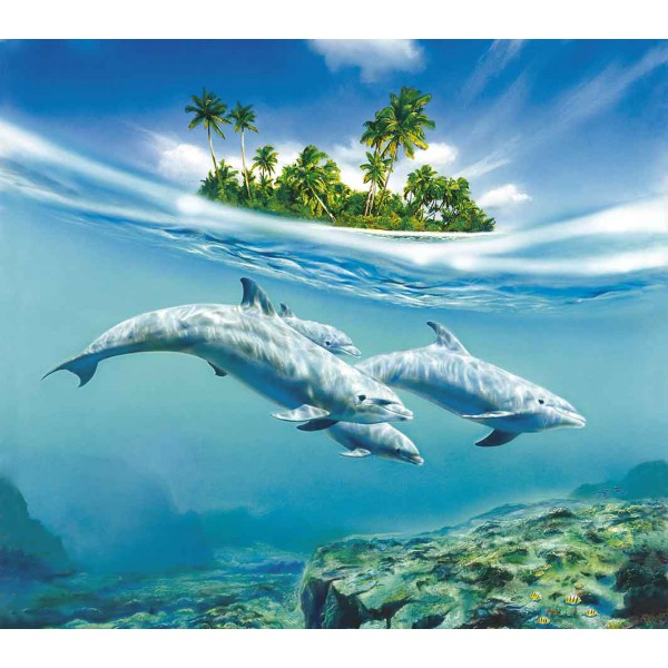 Дельфины над рифом 