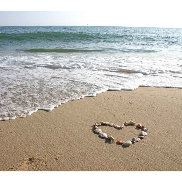 Сердце на песке 