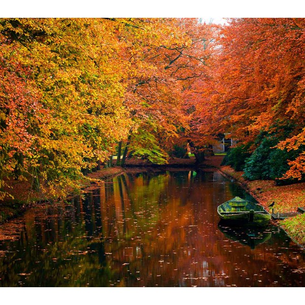 Осенний пруд 