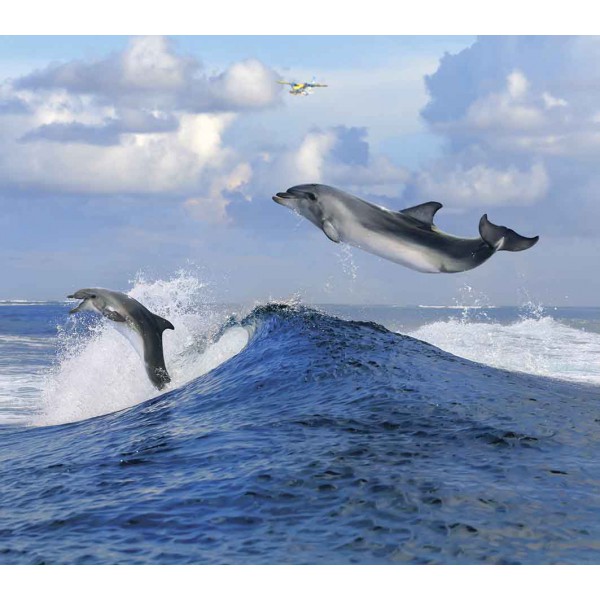 Быстрые дельфины